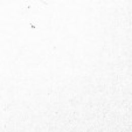 Profile picture of Sabhya