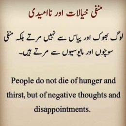 Profile picture of MARYAM PERVAIZ