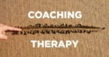 Difference between a Coach and a Therapist